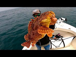 Southern California Ocean Fishing! (Sand Bass Catch, Clean and Cook)