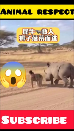 Brave Animals That Stand Up To Bulls #respect #shorts