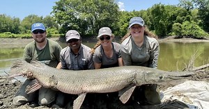 Prehistoric gars: Ancient fish DNA offers insights into evolution