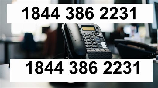 ZENGO Support Options Explained™ — Complete U.S. User Guide (2025)