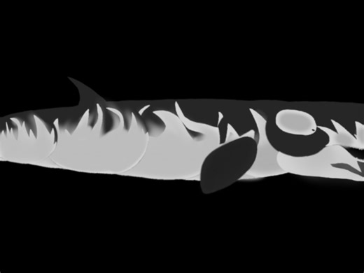 （dc2制作模型)［古生物]梅氏利维坦鲸