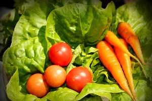 Smart Vegetable Gardening 101: An introductory online course for vegetable gardeners