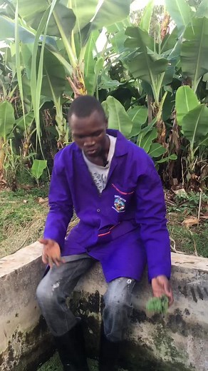 The Importance of Harvesting Azolla for Your Farm