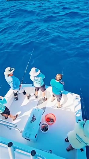“Fishing with Friends Gone Wrong 😂🎣”“Noob vs Pro Fishing Challenge 😆”