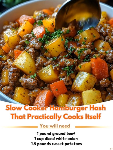 Slow 🙉 Cooker Hamburger Hash Ingredients 450 g ground beef 160 g white onion, diced 680 g russet potatoes, cut into 1.25 cm cubes, skin on 0.25 tsp fine salt 🌪 | Mom's Recipe