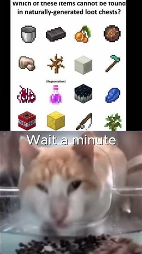 Wait a minute... #minecraft #memes #funnymemes #fyp #video #viralvideo #shorts #cat