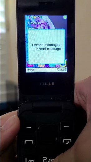 BLU Diva Flex 2.4 incoming message