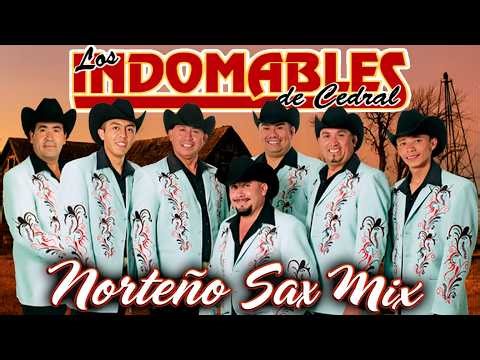 LOS INDOMABLES DE CEDRAL MIX - Sus De Mejores Canciones - Norteño Sax Mix