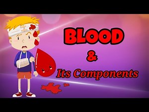 BLOOD & its components & their functions | Kids Educational video | Kids Learning video