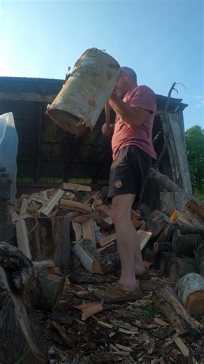 a surprisingly tough piece of birch / now that was a workout
