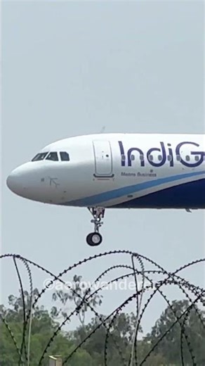 INDIGO A321NEO landing at Chennai Airport #shorts #aviation #indigo #a321 #landing #plane #chennai