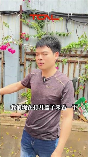 Pickup roller shutter Source Plant