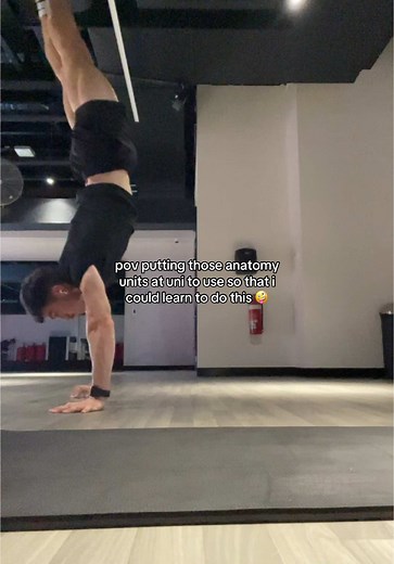 studying for a career no, studying to do a handstand yes #uni #university #study #undergrad #anatomy #handstand #premed #med #anatomyandphysiology