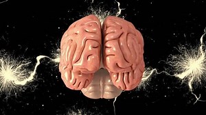 3D medical animation: brain featuring limbic system