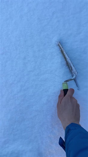 Attention à la neige intoxiquée : recette inattendue