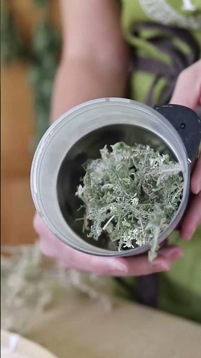 Make Yarrow Styptic Powder (to Stop Bleeding)