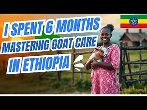 I Spent 6 Months Mastering Goat Care in Ethiopia Here's What I Learned