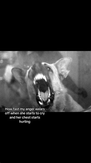 Understanding Anger and Vulnerability in Friendships