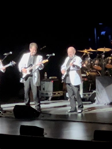 The Association Performs 'Never My Love' Live in Wallingford, CT