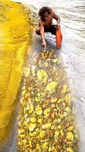 4.7M views · 10K reactions | I found traces of gold, under the black sand #findinggold #findinggoldmetal #goldmine #goldmetal #golddiscovery | Wit Discovery | Facebook