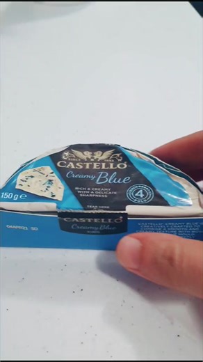 Exploring Moldy Cheese Under a Microscope