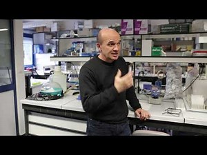 [Prix d'excellence] Bruno Antonny - Institut de Pharmacologie Moléculaire et Cellulaire (IPMC)