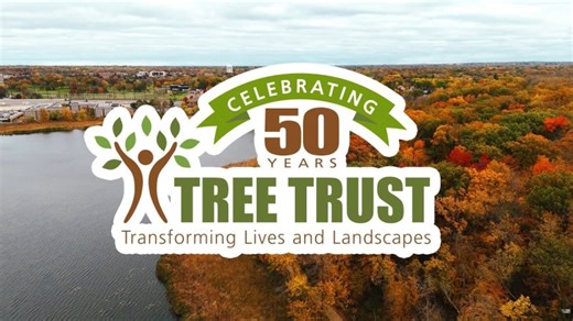 Celebrating Tree Trust s 50th Anniversary | Tree Trust