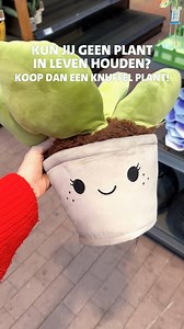 32K views · 109 reactions | PLANTENKNUFFELTJES笠 Altijd al een plant willen knuffelen zonder prikkels of bladeren in je gezicht? Onze plantenknuffels brengen het beste van twee werelden samen! | Intratuin Duiven | Facebook
