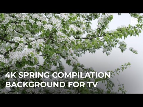 4K Spring Compilation ScreenSaver for TV, PS5, XBOX, PC, APPLE DEVICES