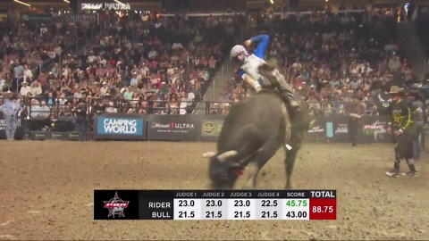 Leonardo Castro rides 'Umm' to success