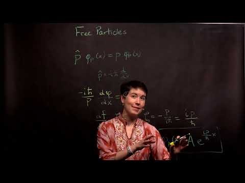 Momentum Eigenstates of the Free Particle