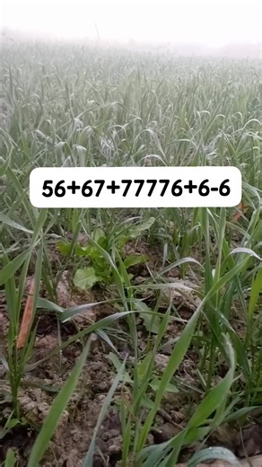 Math challenge Test | Student No 1