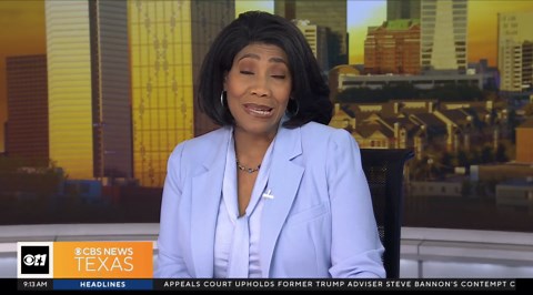 Dallas is top dog when it comes to pet-friendly rentals