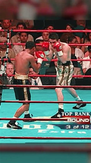 Incredible Counter Uppercut Ends The Fight