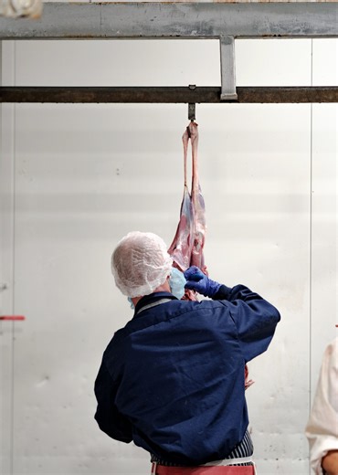 8K views · 58 reactions | We know exactly what’s in your pet’s bowl,...