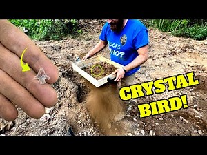 STRANGE Dark Soil LOADED with Artifacts! Arrowhead Hunting Arkansas!