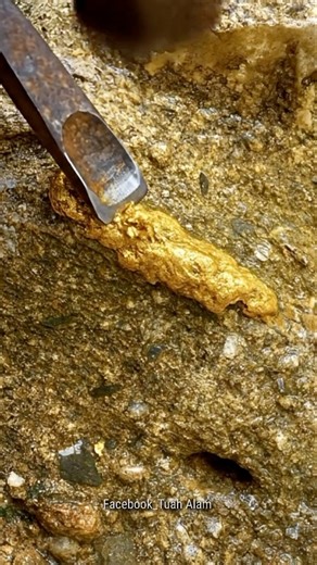 368K views · 3.7K reactions | Gold Quartz 滋 #GoldRush Unbelievable...