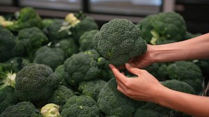 Could Broccoli Be Your Body’s Natural Shield Against Cancer?