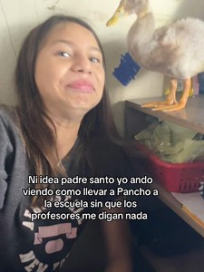 Ideas para llevar a Pancho a la escuela sin problema