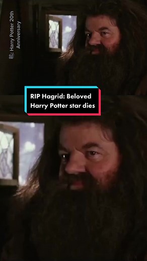 Remembering Hagrid: Tribute to Robbie Coltrane