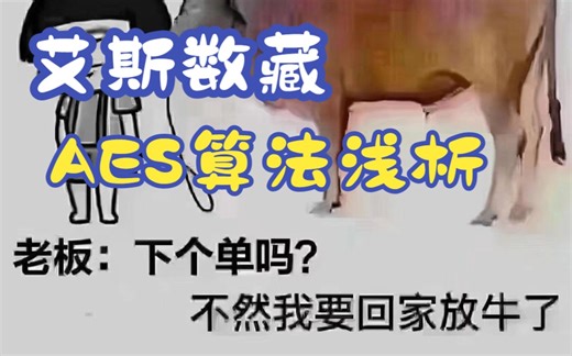 艾斯数藏_AES加密