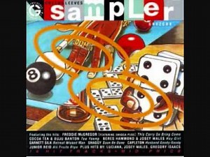 Informer - Snagga Puss, Redrose, Lizard, Frankie Paul, Flourgon, Malvo & Red Dragon