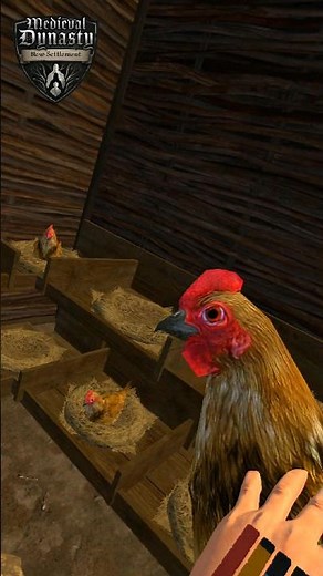 A Buyers Guide to Chickens and Pigs in Medieval Dynasty New Settlement