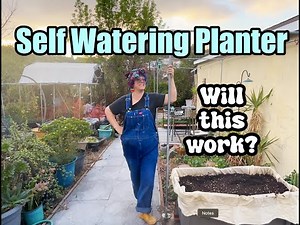 DIY Self Watering Planter- build in a few hours.