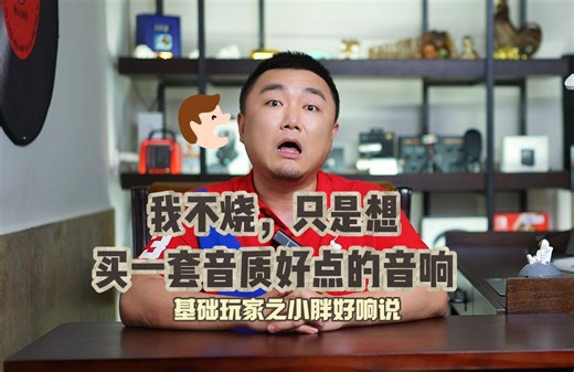 （避坑必看）我不发烧，我只想买音质好点的