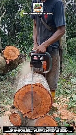 Splitting Tree Log with a Chainsaw 🌲🔥