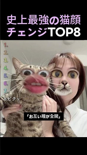 Top 8 Cat Face Changes of All Time