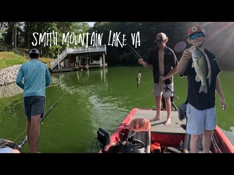3 hour Smith Mountain Lake Bass fishing trip!