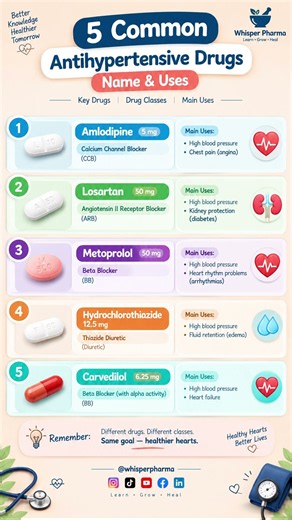 5 Common Blood Pressure Medications: Uses & Drug Classes