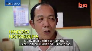 Ruff-Riders! Meet the dogs who love to ride on a motorbike